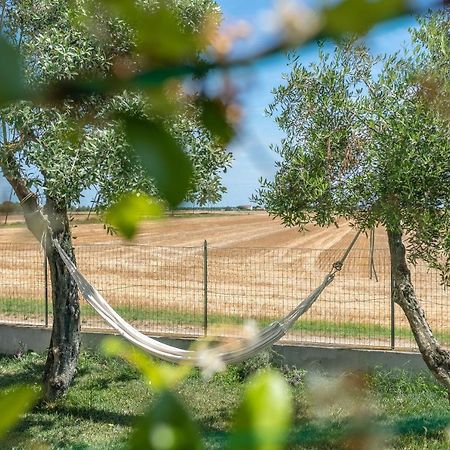 Ortopi Country Canapa House Порто-Реканати Экстерьер фото