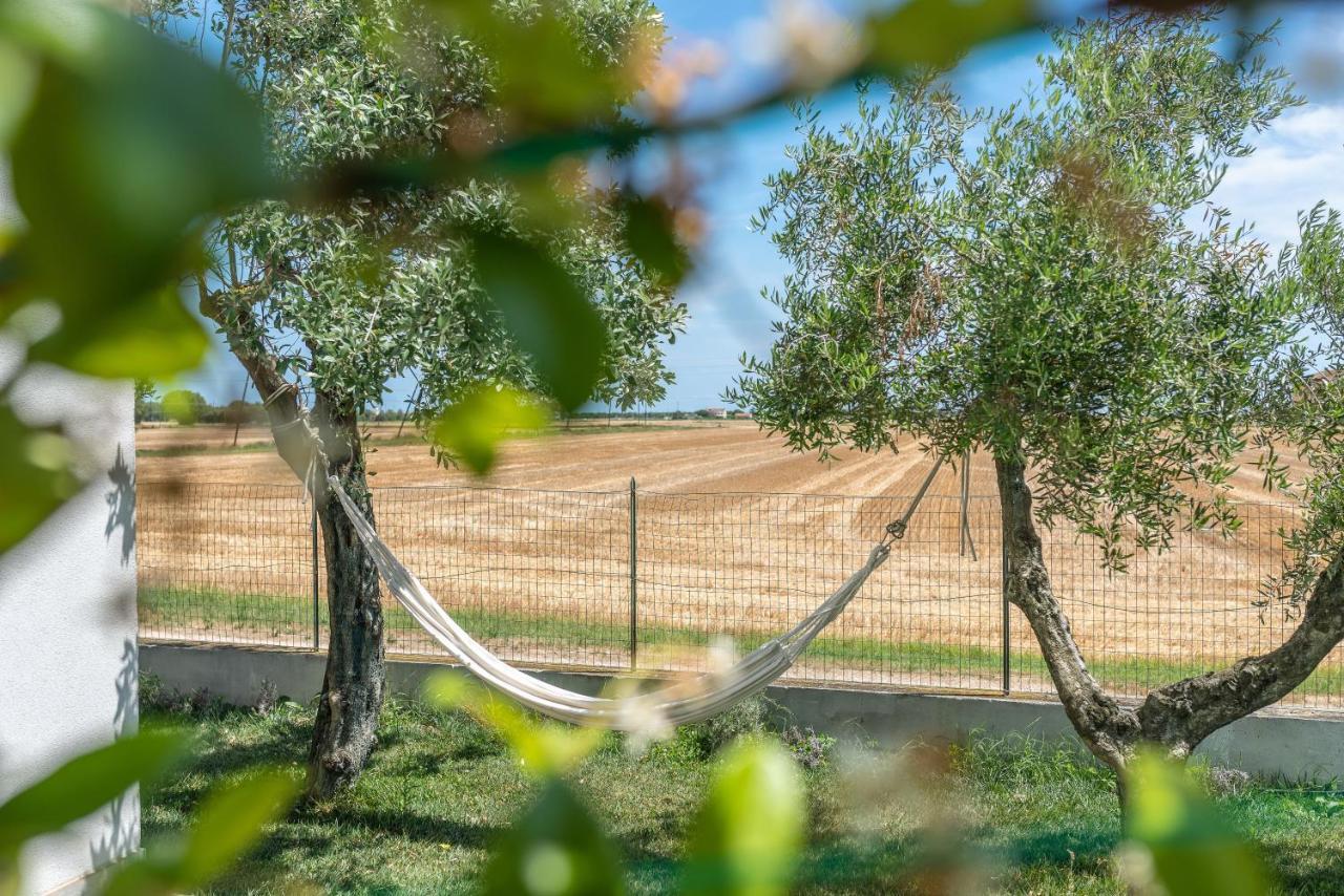 Ortopi Country Canapa House Порто-Реканати Экстерьер фото